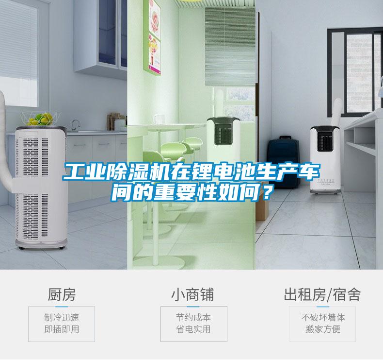 工業(yè)除濕機(jī)在鋰電池生產(chǎn)車間的重要性如何?