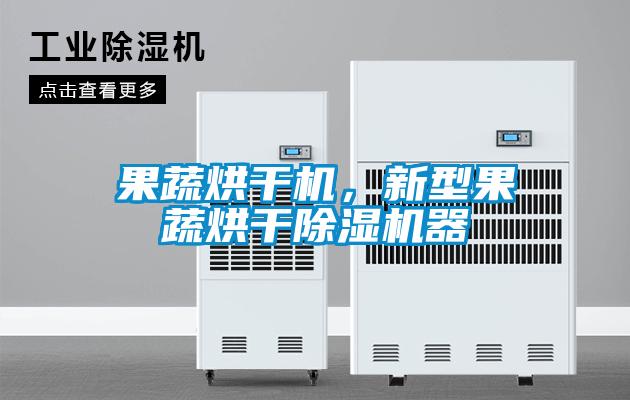果蔬烘干機,新型果蔬烘干除濕機器