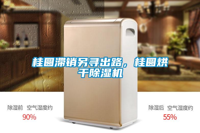 桂圓滯銷另尋出路，桂圓烘干除濕機