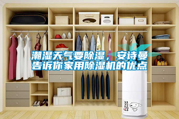 潮濕天氣要除濕,安詩曼告訴你家用除濕機的優點