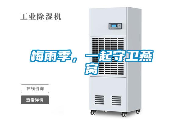 梅雨季，一起守衛燕窩