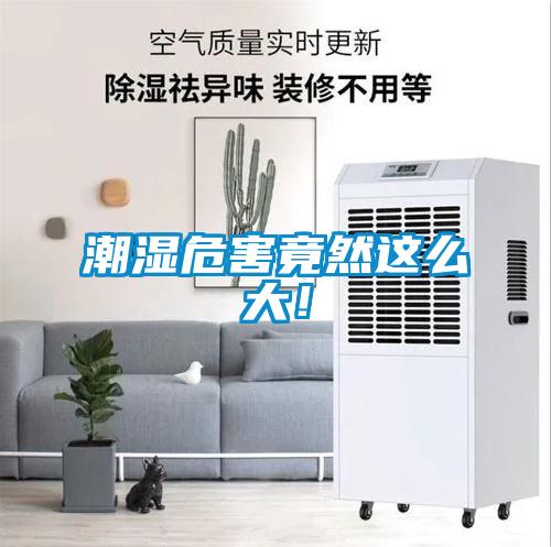 潮濕危害竟然這么大!