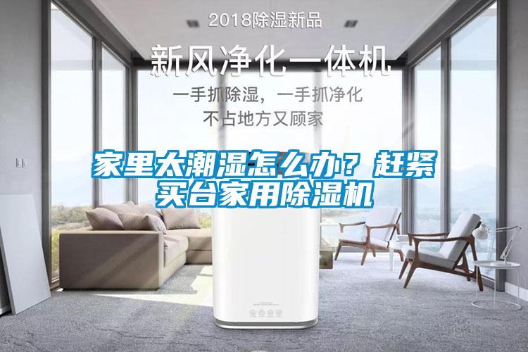 家里太潮濕怎么辦?趕緊買臺家用除濕機