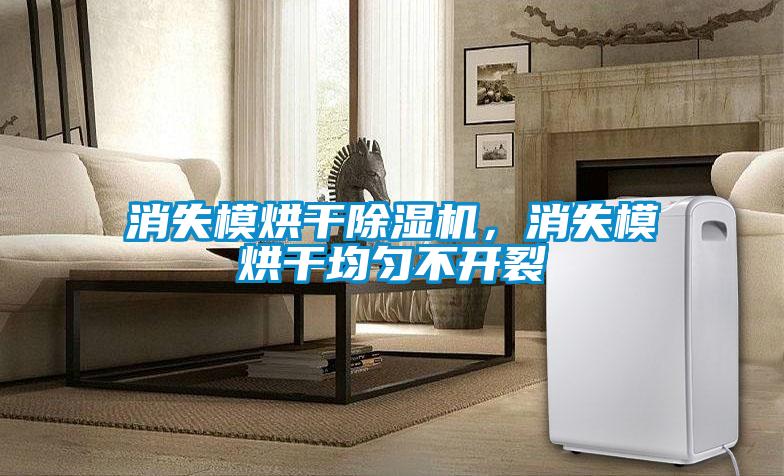 消失模烘干除濕機(jī),消失模烘干均勻不開裂