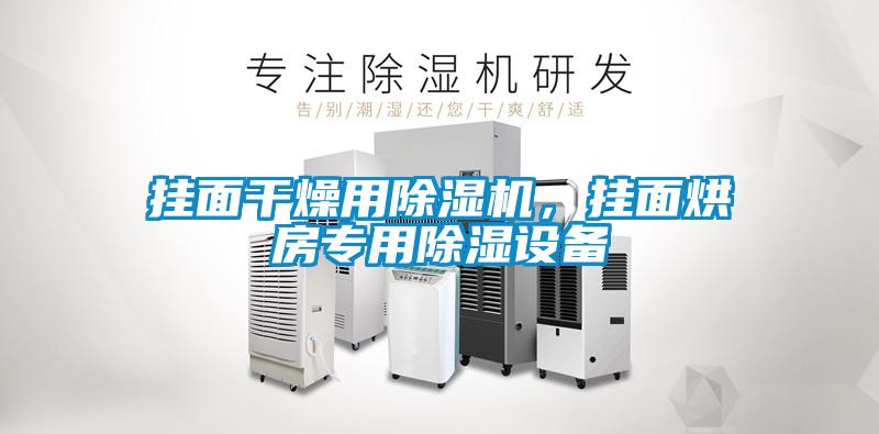 掛面干燥用除濕機,掛面烘房專用除濕設備