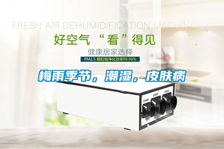 梅雨季節,潮濕,皮膚病
