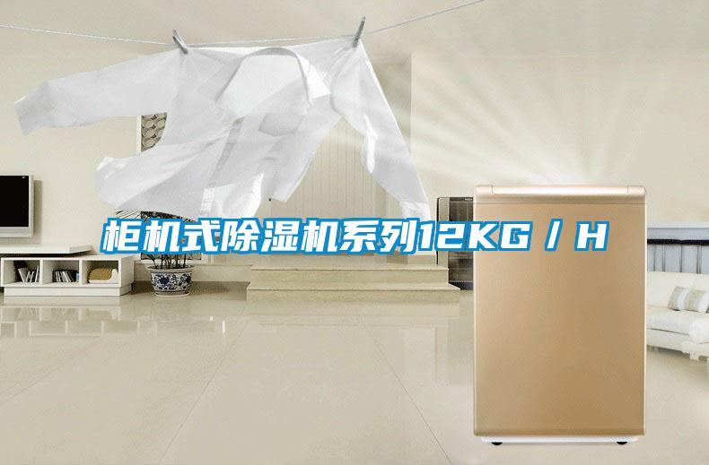 柜機式除濕機系列12KG/H