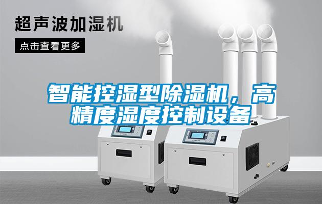 智能控濕型除濕機,高精度濕度控制設備