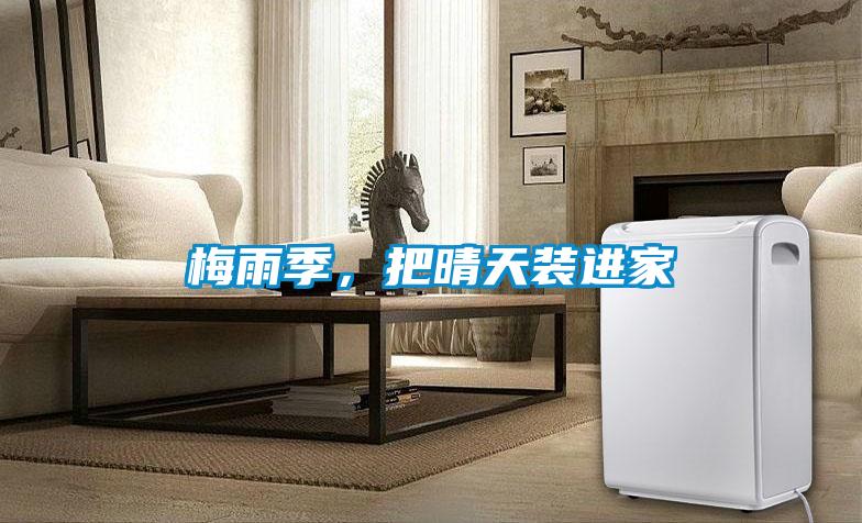 梅雨季,把晴天裝進家