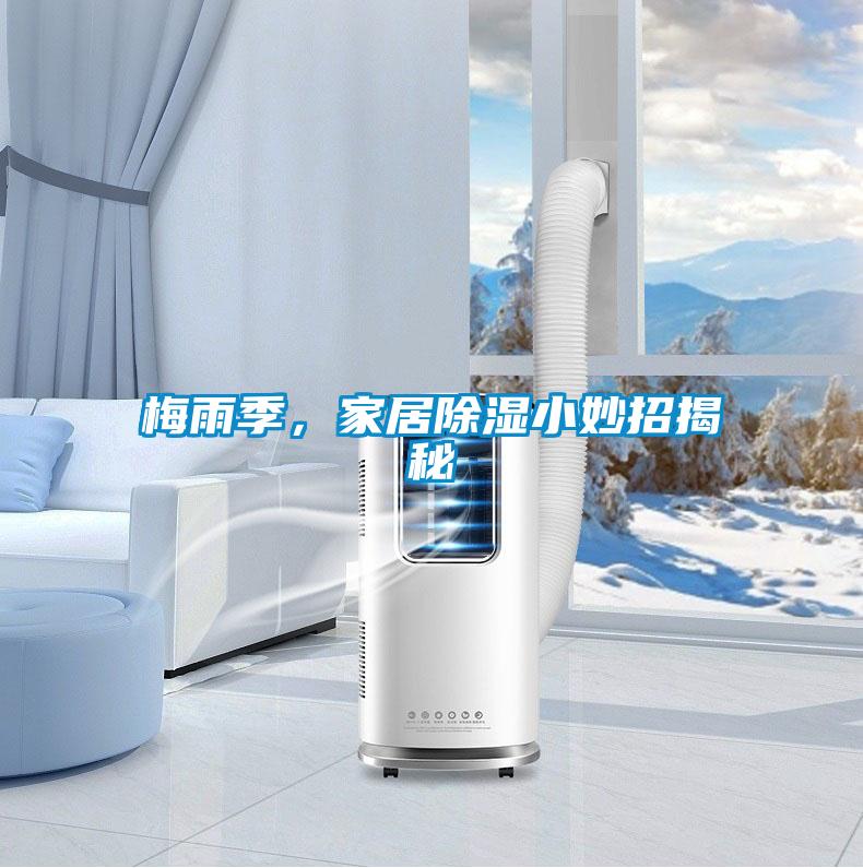 梅雨季,家居除濕小妙招揭秘