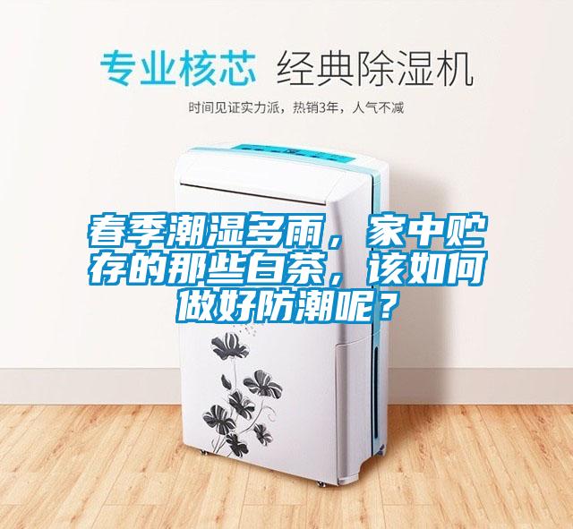 春季潮濕多雨,家中貯存的那些白茶,該如何做好防潮呢?