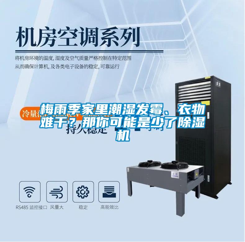 梅雨季家里潮濕發(fā)霉、衣物難干?那你可能是少了除濕機(jī)