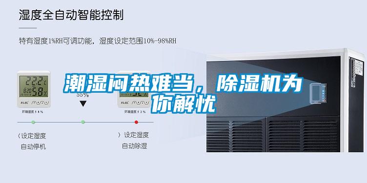 潮濕悶熱難當,除濕機為你解憂