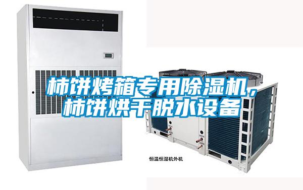 柿餅烤箱專用除濕機,柿餅烘干脫水設(shè)備