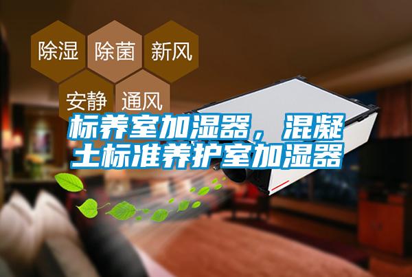 標(biāo)養(yǎng)室加濕器，混凝土標(biāo)準(zhǔn)養(yǎng)護(hù)室加濕器