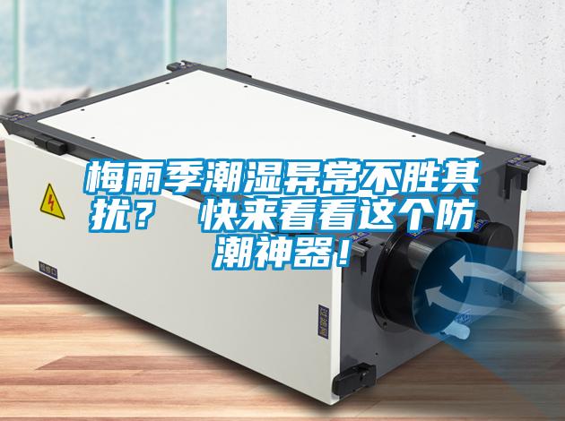 梅雨季潮濕異常不勝其擾? 快來看看這個防潮神器!