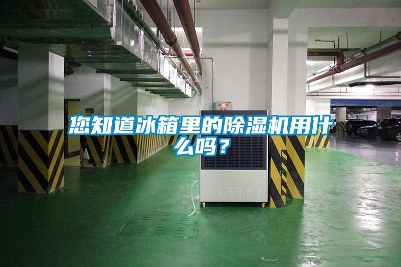 您知道冰箱里的除濕機用什么嗎?