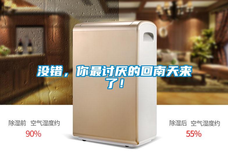 沒錯，你最討厭的回南天來了！