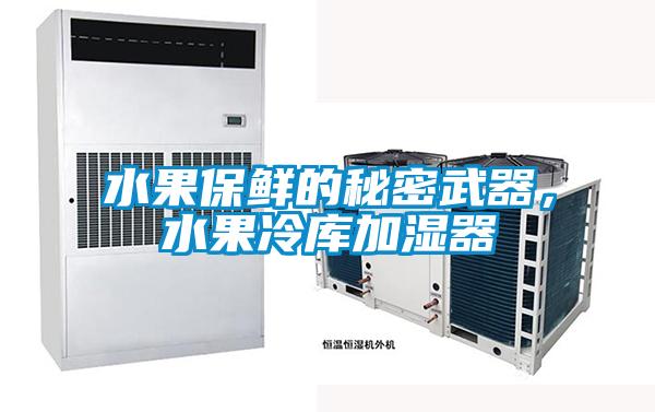 水果保鮮的秘密武器,水果冷庫加濕器