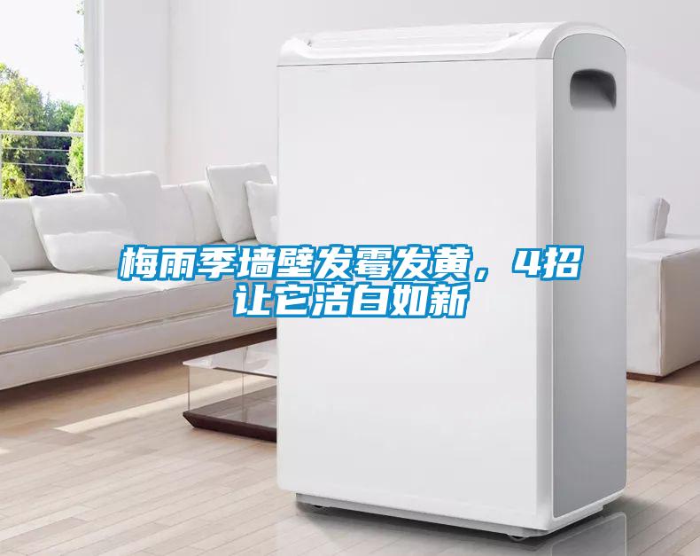 梅雨季墻壁發(fā)霉發(fā)黃,4招讓它潔白如新