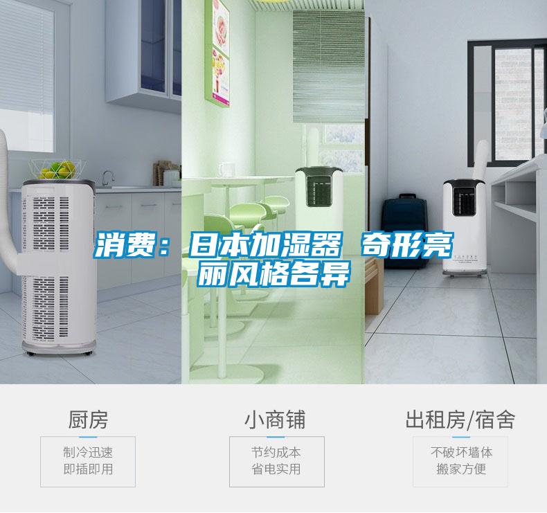 消費:日本加濕器 奇形亮麗風格各異