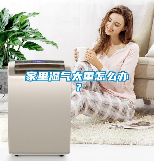 家里濕氣太重怎么辦?