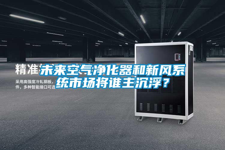 未來(lái)空氣凈化器和新風(fēng)系統(tǒng)市場(chǎng)將誰(shuí)主沉浮?