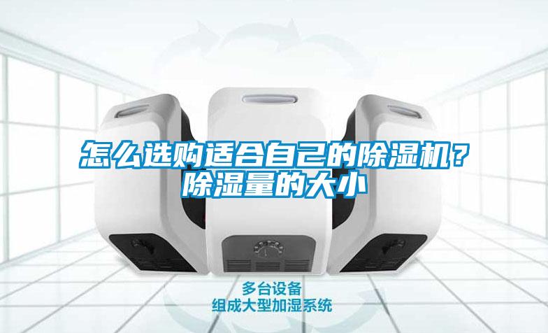 怎么選購適合自己的除濕機?除濕量的大小