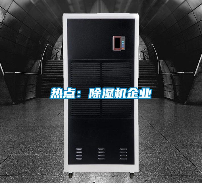 熱點(diǎn):除濕機(jī)企業(yè)
