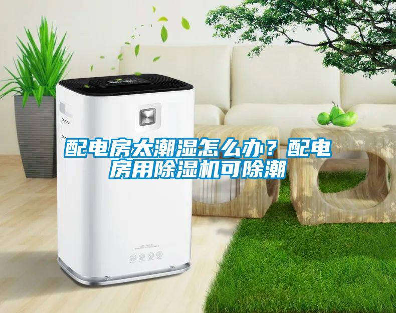 配電房太潮濕怎么辦?配電房用除濕機(jī)可除潮