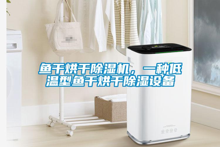 魚干烘干除濕機(jī),一種低溫型魚干烘干除濕設(shè)備