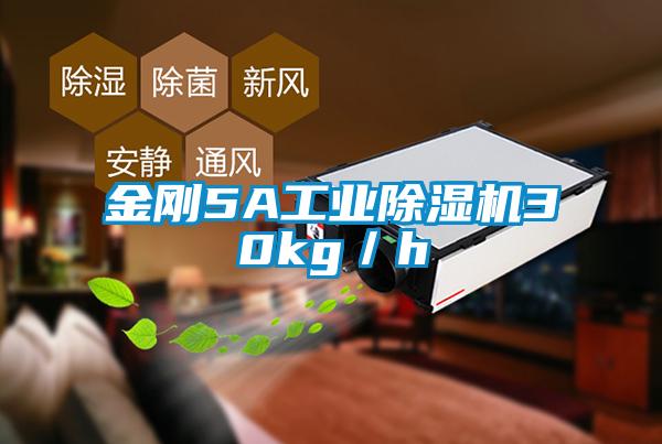 金剛5A工業除濕機30kg/h