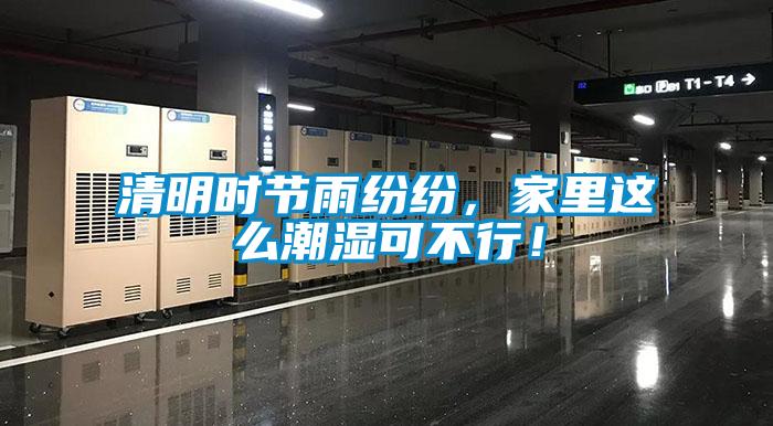 清明時(shí)節(jié)雨紛紛,家里這么潮濕可不行!