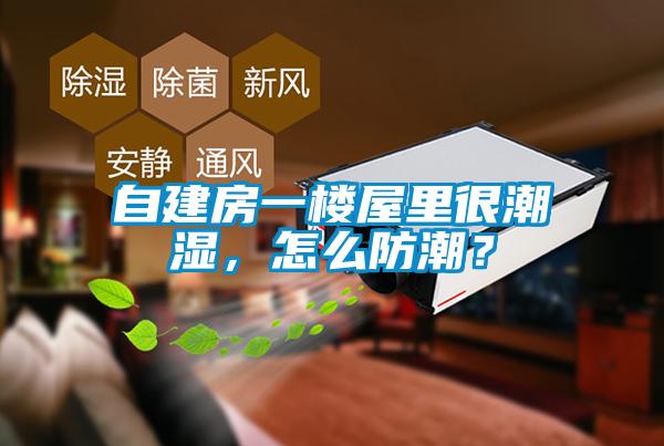 自建房一樓屋里很潮濕,怎么防潮?