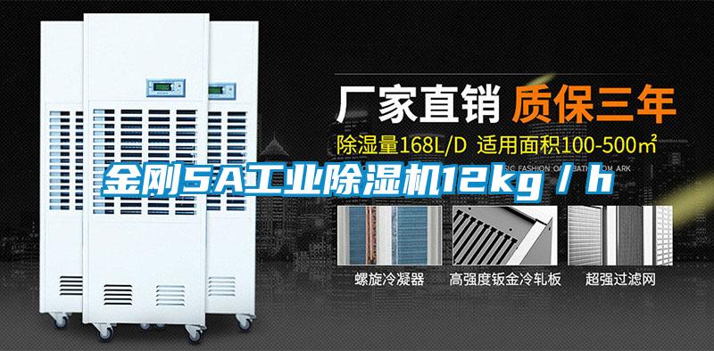 金剛5A工業(yè)除濕機(jī)12kg/h