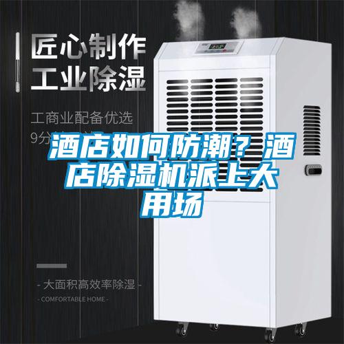 酒店如何防潮?酒店除濕機派上大用場