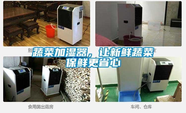 蔬菜加濕器,讓新鮮蔬菜保鮮更省心