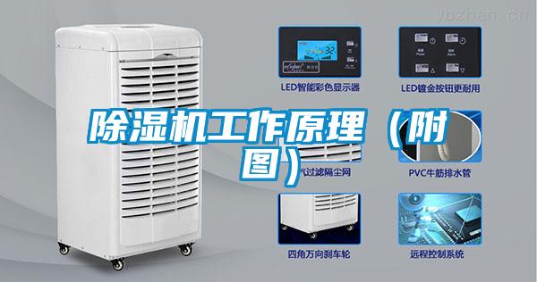 除濕機工作原理(附圖)