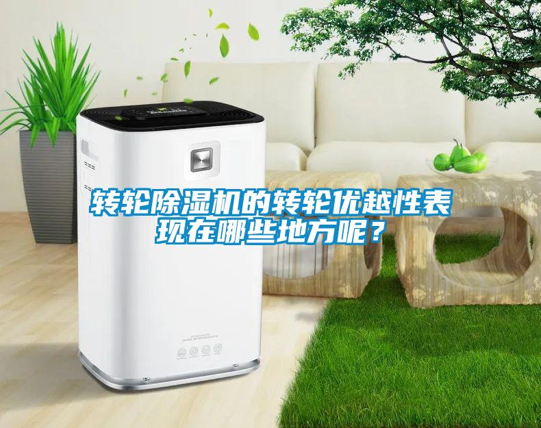 轉(zhuǎn)輪除濕機(jī)的轉(zhuǎn)輪優(yōu)越性表現(xiàn)在哪些地方呢?