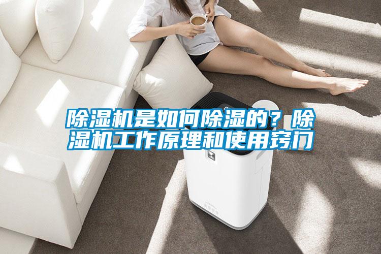 除濕機是如何除濕的?除濕機工作原理和使用竅門