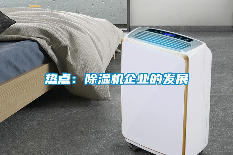 熱點:除濕機企業的發展