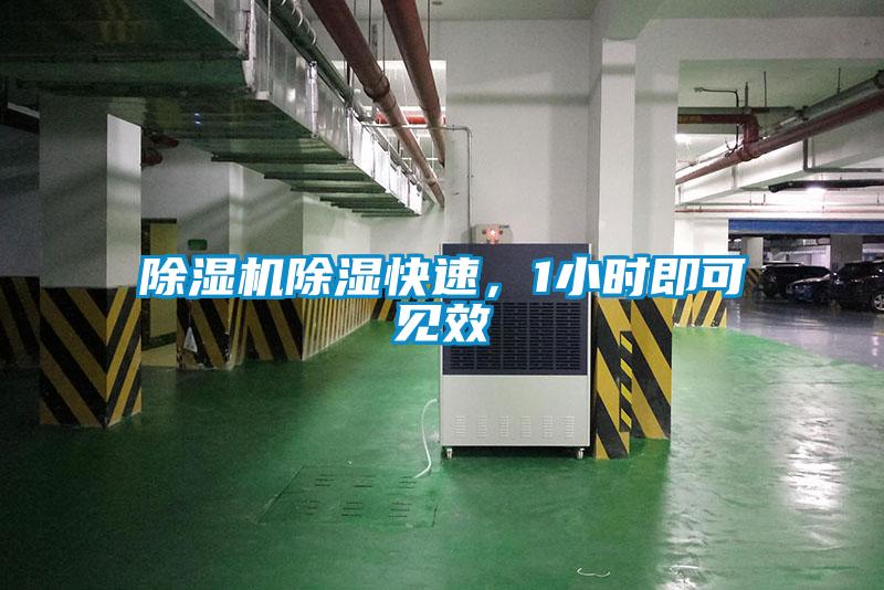 除濕機除濕快速,1小時即可見效
