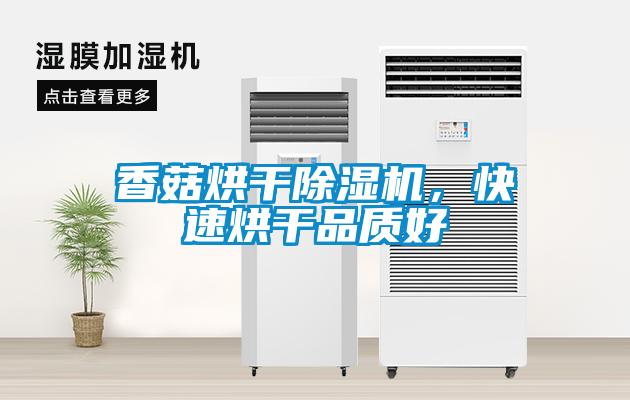 香菇烘干除濕機,快速烘干品質好