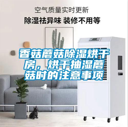 香菇蘑菇除濕烘干房，烘干抽濕蘑菇時(shí)的注意事項(xiàng)