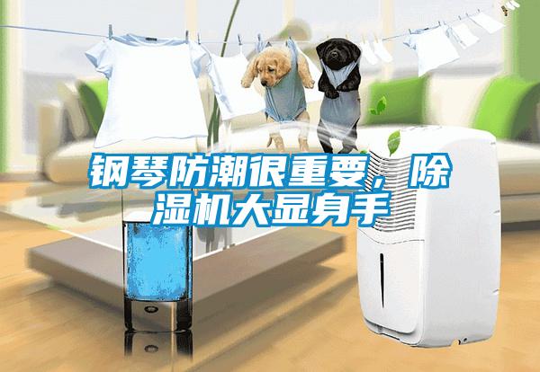 鋼琴防潮很重要，除濕機大顯身手