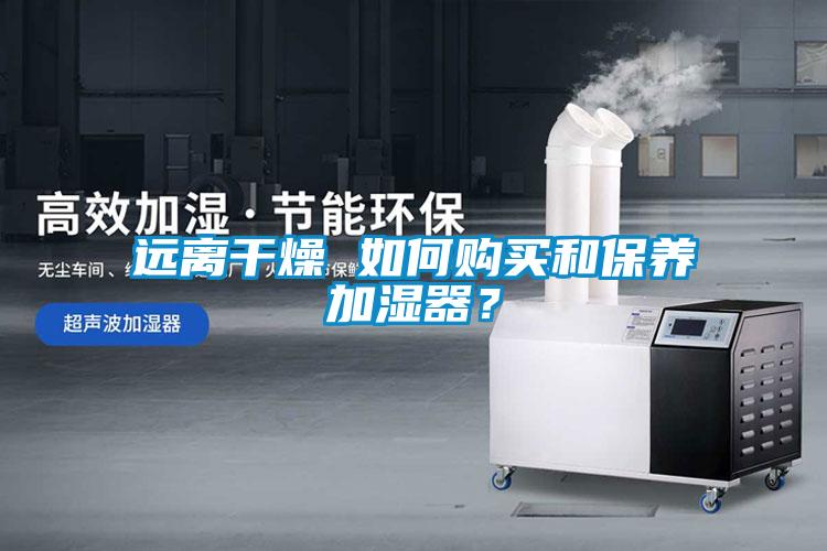 遠(yuǎn)離干燥 如何購(gòu)買和保養(yǎng)加濕器?