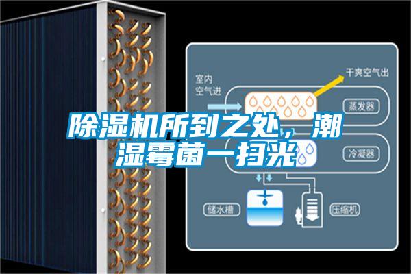 除濕機所到之處,潮濕霉菌一掃光