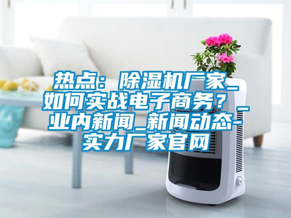 熱點:除濕機廠家_如何實戰電子商務?_業內新聞_新聞動態-實力廠家官網
