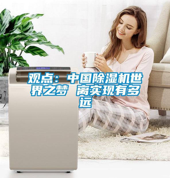 觀點(diǎn):中國(guó)除濕機(jī)世界之夢(mèng) 離實(shí)現(xiàn)有多遠(yuǎn)