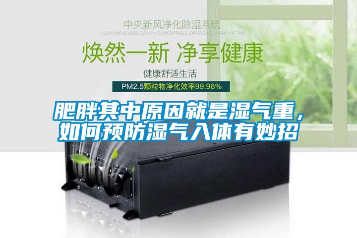肥胖其中原因就是濕氣重,如何預防濕氣入體有妙招